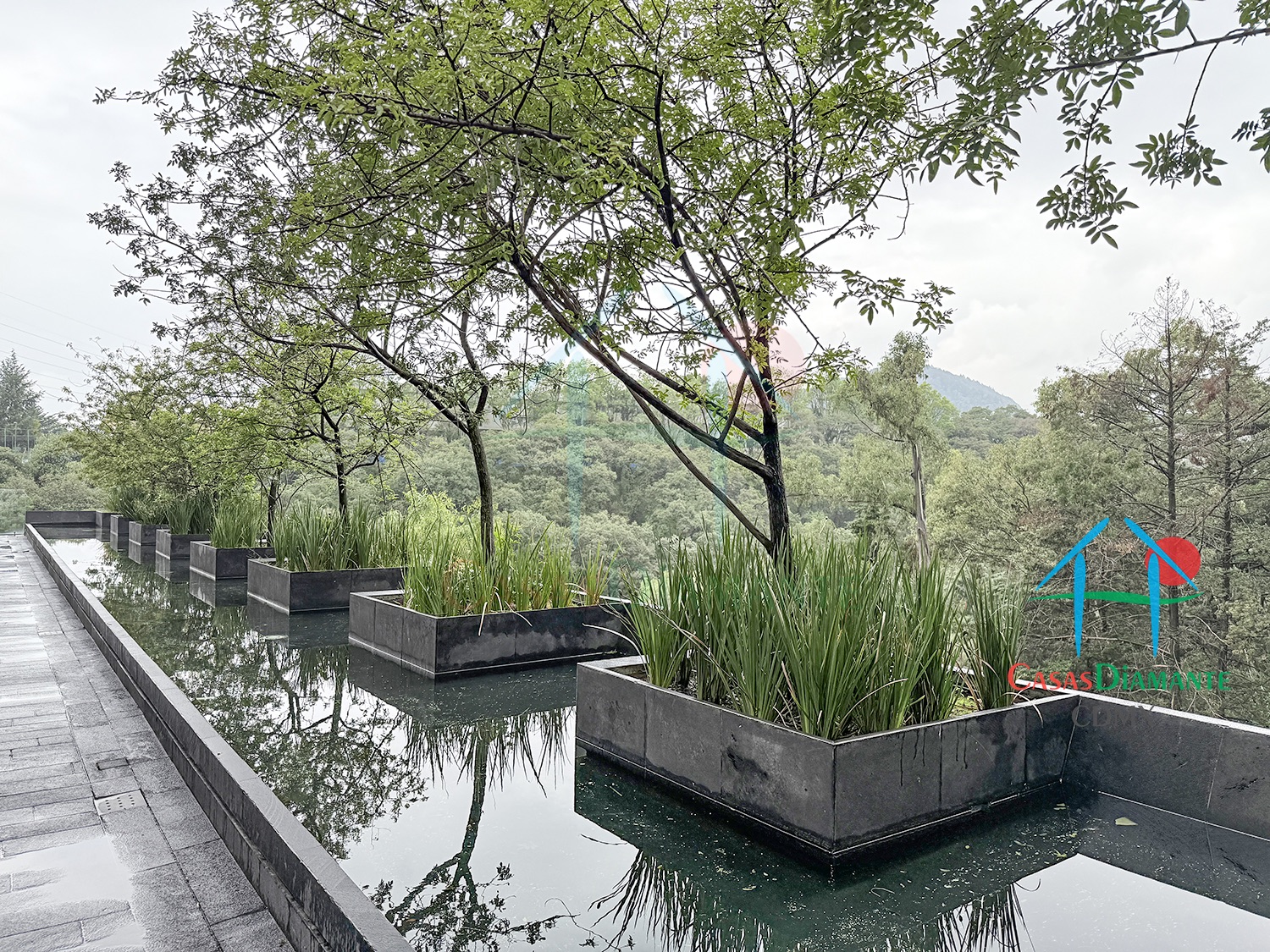 Acanto Ecos del Bosque - Acceso 9 Acanto Ecos del Bosque - Acceso 9